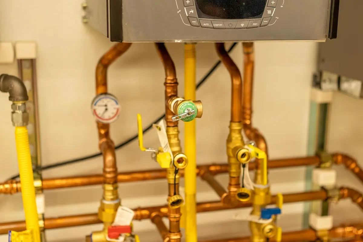 Licensed technician providing Sump Pump Repair for a homeowner in Royal Pines